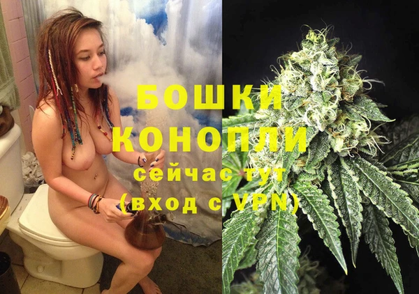 МДПВ Лагань