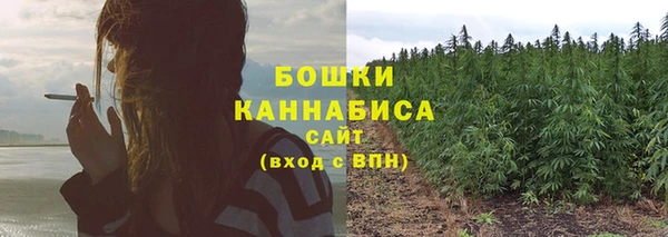меф Ладушкин